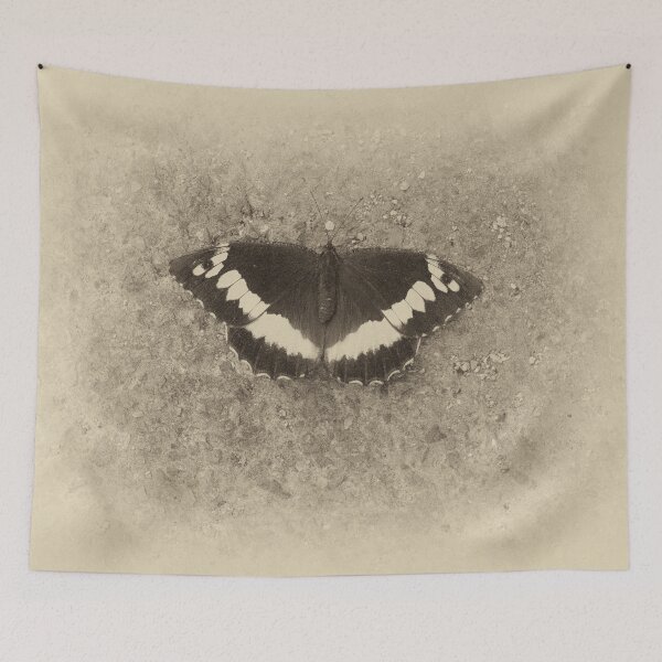 Item preview, 2020 Limenitis Camilla designed and sold by robertoferrero.