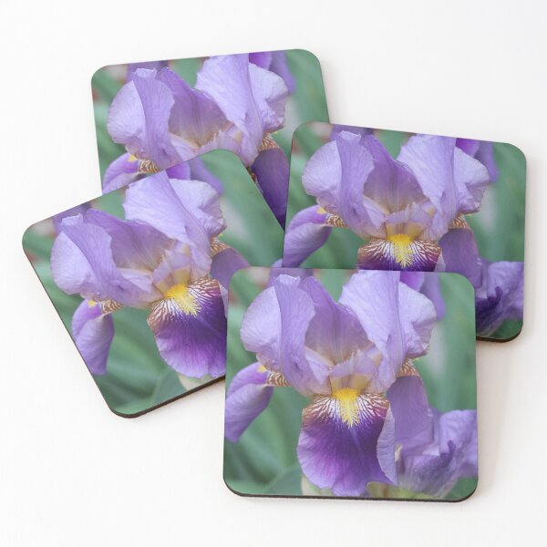 Item preview, Spring Iris designed and sold by Rachel Jeffrey.