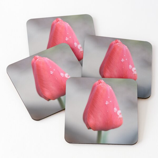 Item preview, Red Tulip #2 designed and sold by Rachel Jeffrey.