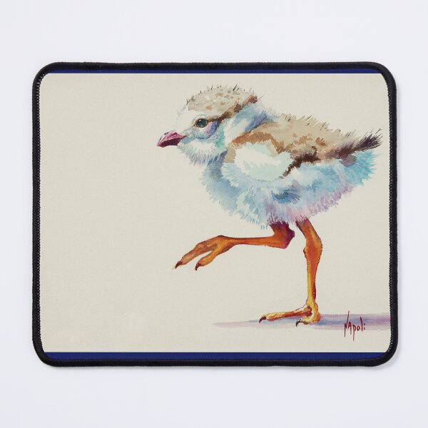Item preview, Piping Plover Chick designed and sold by Napoli-Art.