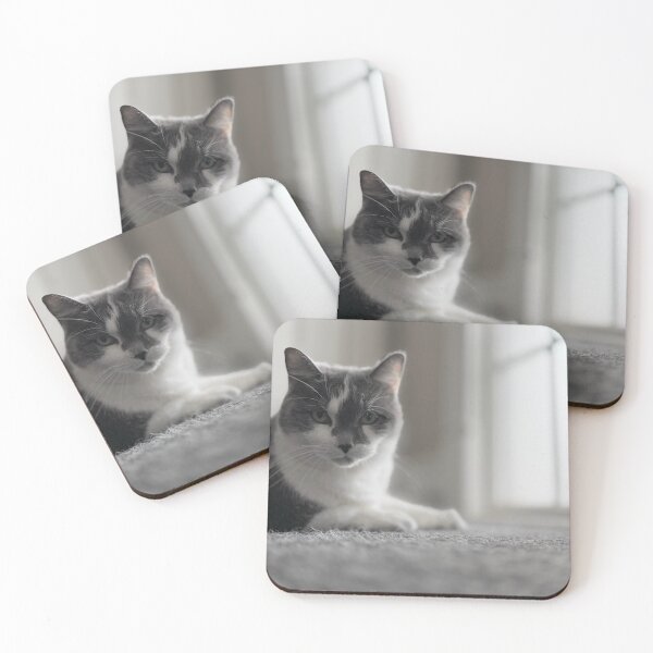 Item preview, Sookie  designed and sold by AbbyG-Designs.