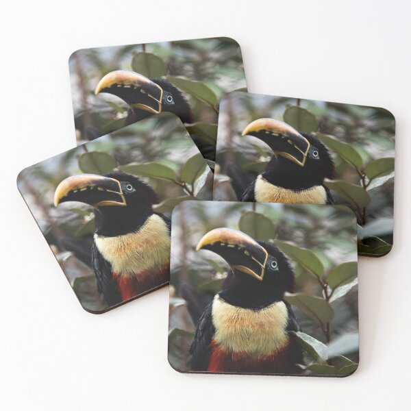 Item preview, Bird amongst a bush designed and sold by donkadoink.