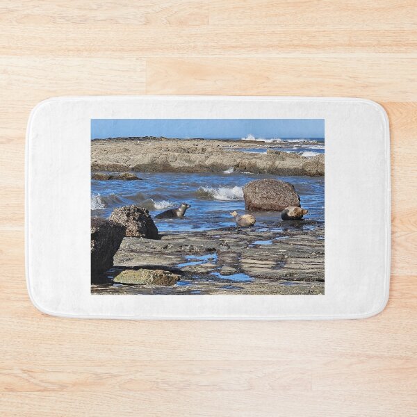 Item preview, Seal Siblings designed and sold by Kat Simmons.