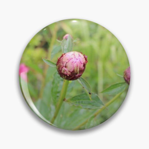 Item preview, Peony Buds designed and sold by Designs by Martha Rabbitts .