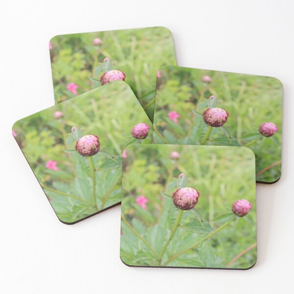 Item preview, Peony Buds designed and sold by Designs by Martha Rabbitts .