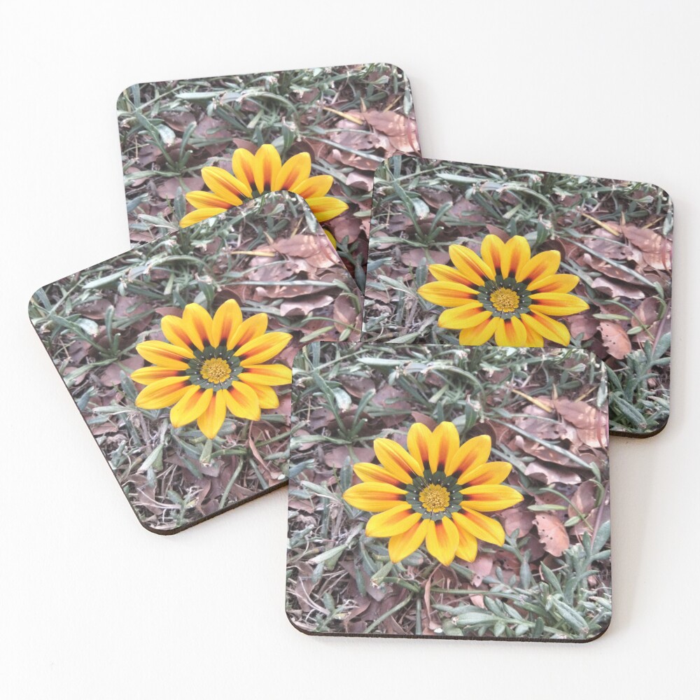 Item preview, Coasters (Set of 4) designed and sold by HomemakerAMDG.