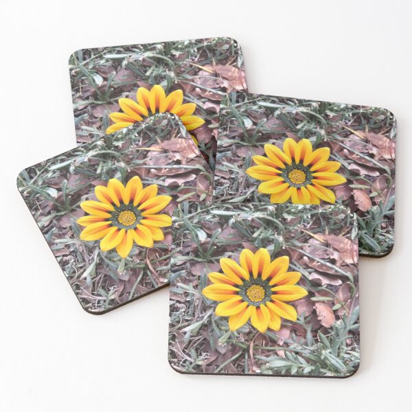 Item preview, Spring Daisy Photograph designed and sold by HomemakerAMDG.