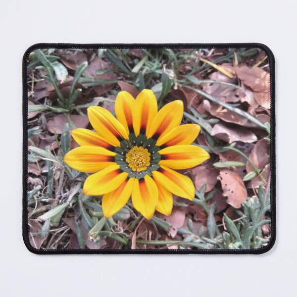 Item preview, Spring Daisy Photograph designed and sold by HomemakerAMDG.
