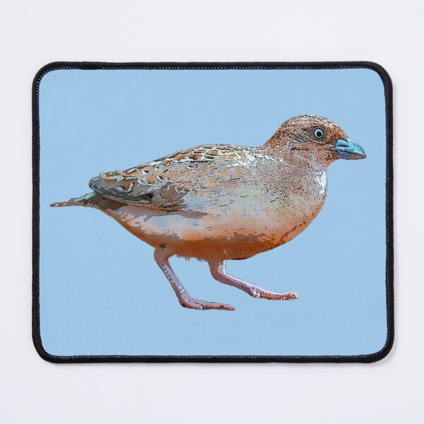 Item preview, Little Buttonquail Color Design designed and sold by designsasstultd.
