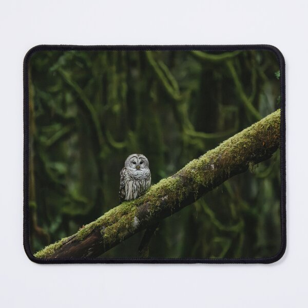 Item preview, Hooter designed and sold by millivedder.