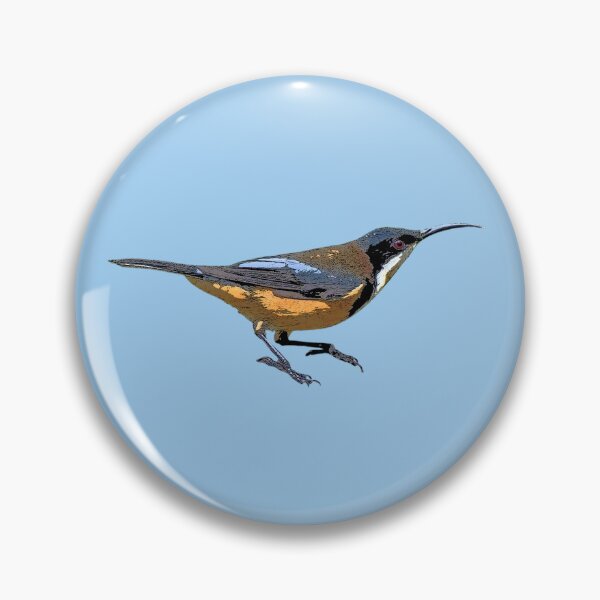 Item preview, Eastern Spinebill Color Design  designed and sold by designsasstultd.