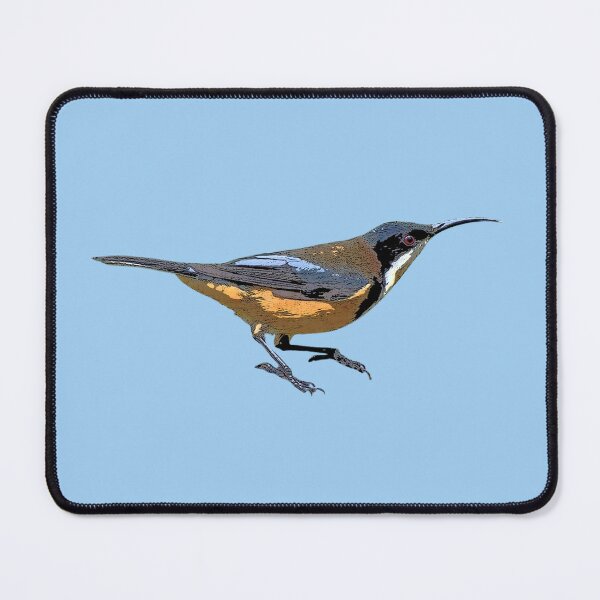 Item preview, Eastern Spinebill Color Design  designed and sold by designsasstultd.