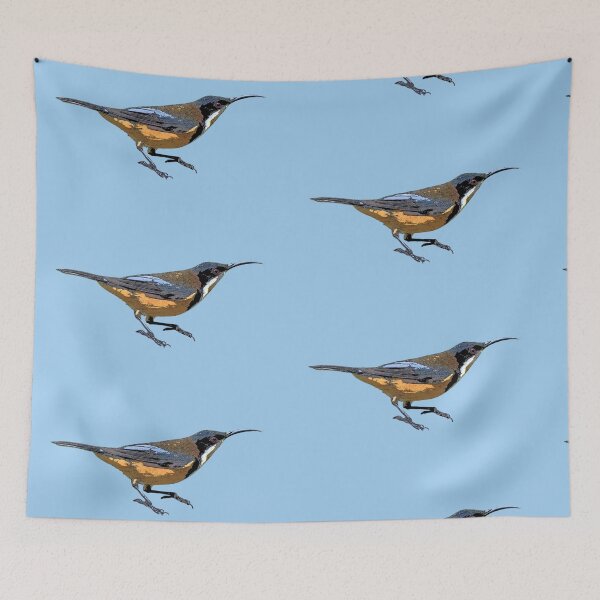 Item preview, Eastern Spinebill Color Design  designed and sold by designsasstultd.