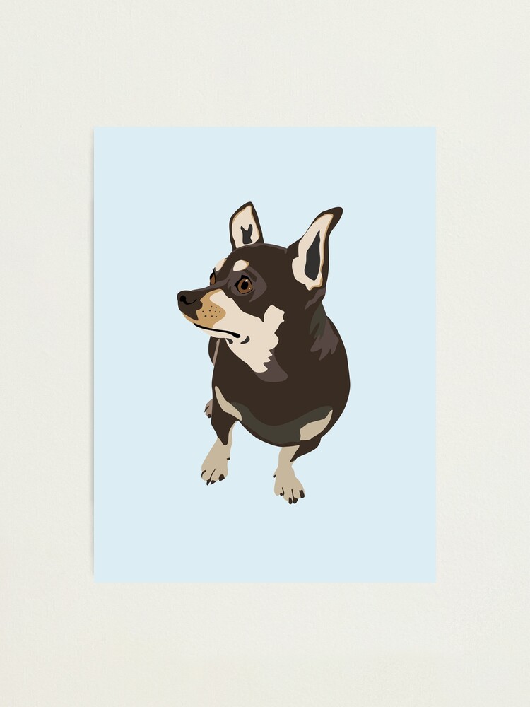 Alternate view of Hopeful Dog Photographic Print