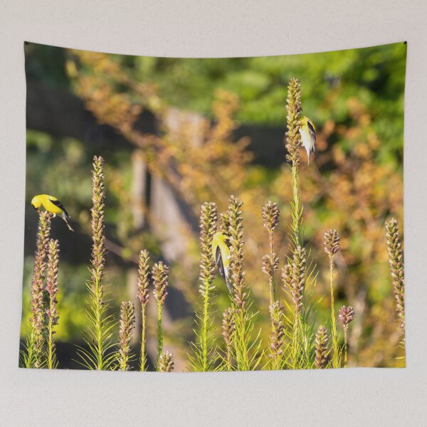 Item preview, The American Goldfinch and Liatris designed and sold by wenzler.