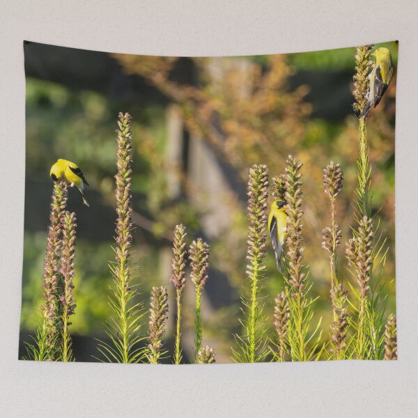 Item preview, The American Goldfinch In My Liatris "Blazing Star" designed and sold by wenzler.