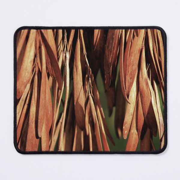 Item preview, Seeds of Ash designed and sold by photoclique.