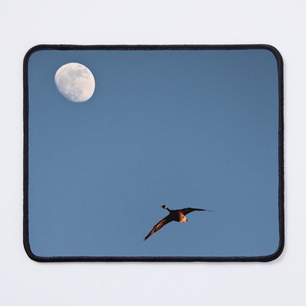 Item preview, Solo Flight  designed and sold by photoclique.
