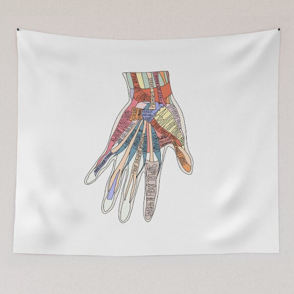 Item preview, Muscles of the Hand Anatomy  designed and sold by Katherine Winner.