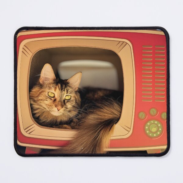 Item preview, Cozy Cat in a Retro Television Box designed and sold by FrenchInJapan.