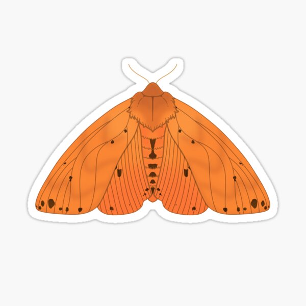 Item preview, Isabella Tiger Moth designed and sold by buggyfriends.