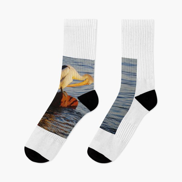 Item preview, Duo of Pelicans designed and sold by D-GaP.