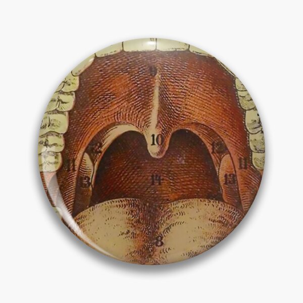 Item preview, Teeth Numbers - Vintage Dentist designed and sold by PIXEL POP DESIGNS - Beyond the Norm!.
