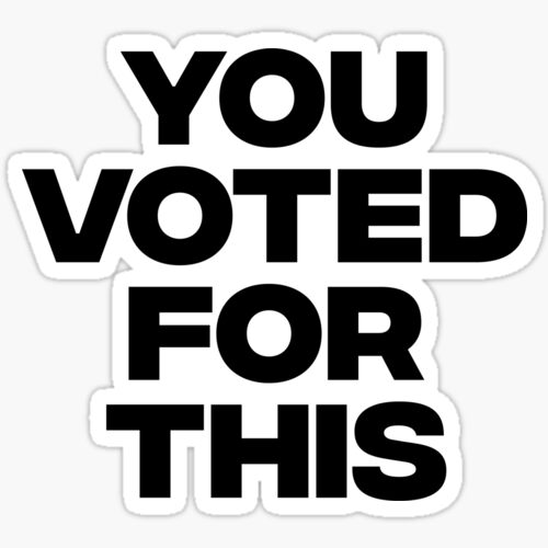 you voted for this