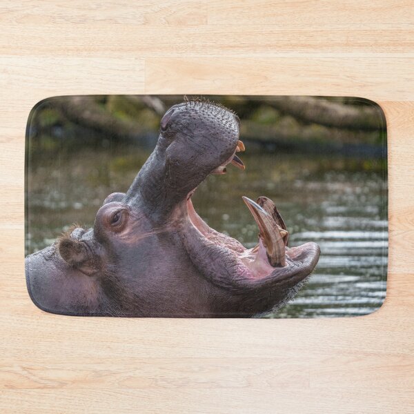 Item preview, Impressive Hippopotamus Teeth designed and sold by rawshutterbug.