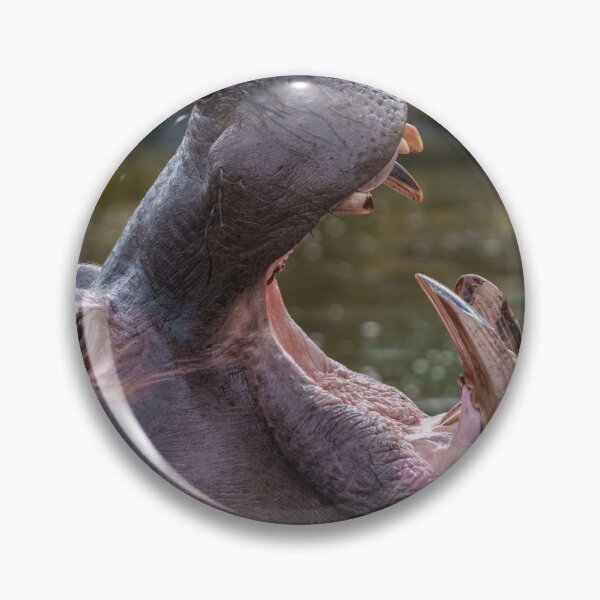 Item preview, Impressive Hippopotamus Teeth designed and sold by rawshutterbug.
