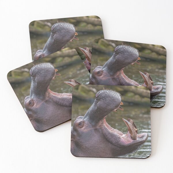 Item preview, Impressive Hippopotamus Teeth designed and sold by rawshutterbug.