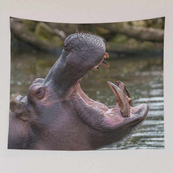 Item preview, Impressive Hippopotamus Teeth designed and sold by rawshutterbug.