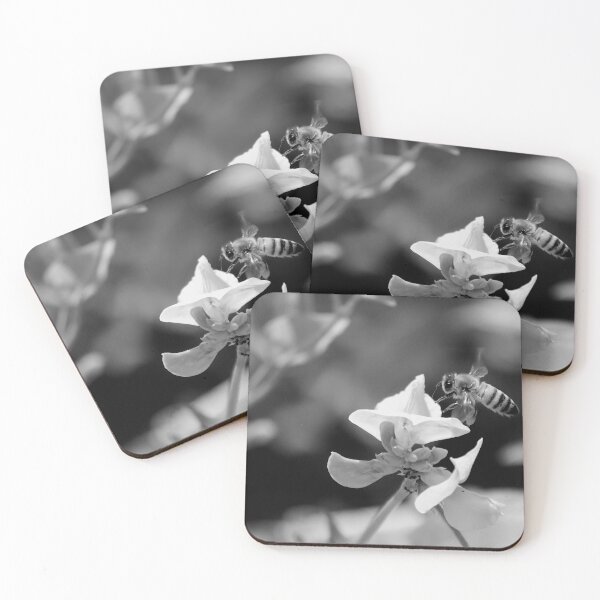 Item preview, Honey Bee And Lathyrus pratensis Black And White designed and sold by MercerImages.