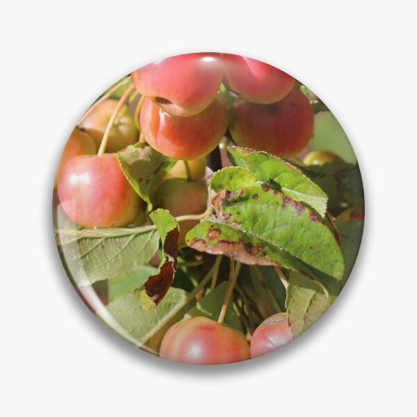 Item preview, Red Crab Apples designed and sold by pinkal.