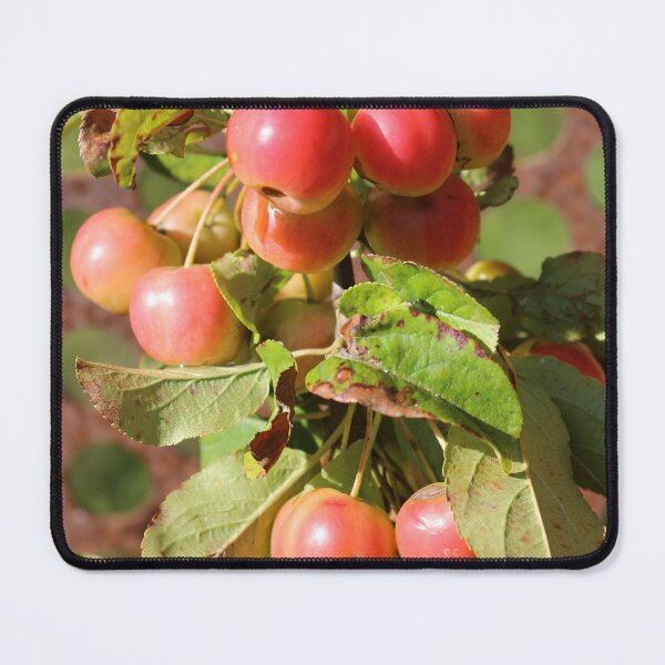 Item preview, Red Crab Apples designed and sold by pinkal.