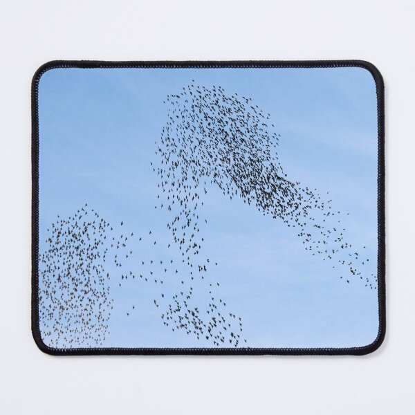 Item preview, Zigzag murmuration designed and sold by GreyFeatherPhot.