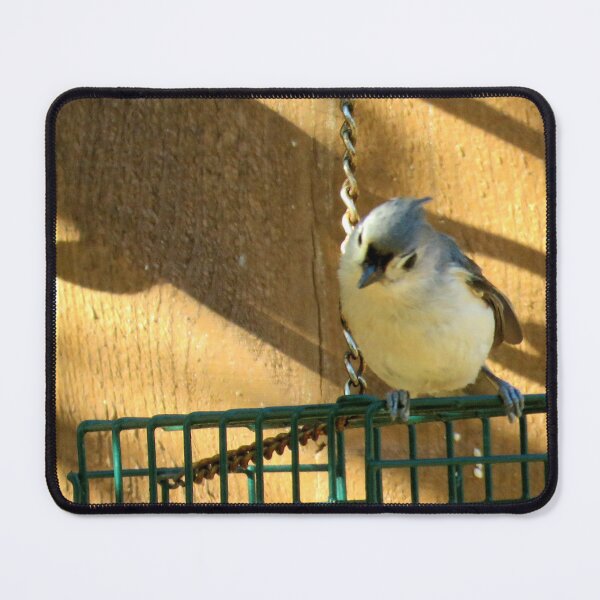 Item preview, Tufted titmouse designed and sold by Larrysphotos.