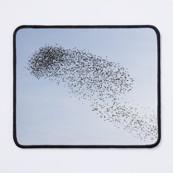 Item preview, Safety in numbers designed and sold by GreyFeatherPhot.