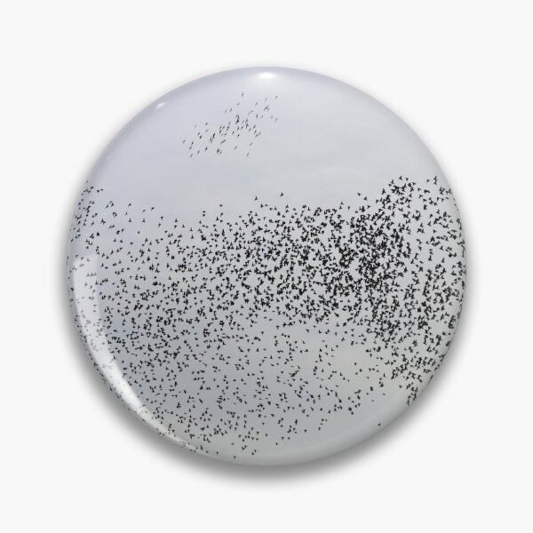 Item preview, Starling flock at sunset designed and sold by GreyFeatherPhot.