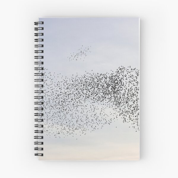 Item preview, Starling flock at sunset designed and sold by GreyFeatherPhot.