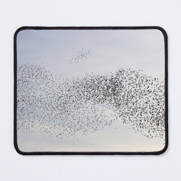 Item preview, Starling flock at sunset designed and sold by GreyFeatherPhot.