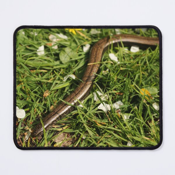 Item preview, Slowworm designed and sold by pinkal.