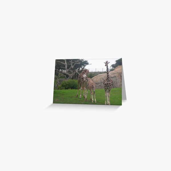 Item preview, Giraffes 006 designed and sold by pasta26mc.
