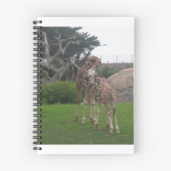 Item preview, Giraffes 006 designed and sold by pasta26mc.