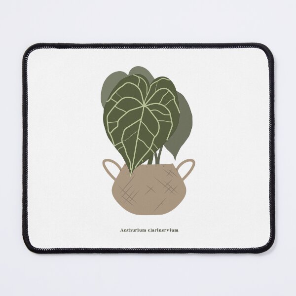 Item preview, Anthurium Clarinervium plants designed and sold by A Simple Day..