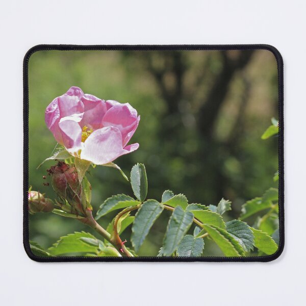 Item preview, Dog rose designed and sold by pinkal.