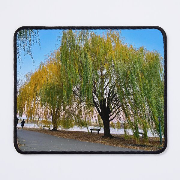 Item preview, Golden willow motion flow with pedestrians designed and sold by florencemilan.
