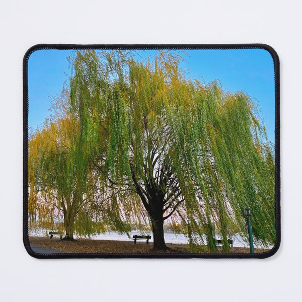 Item preview, Golden willow motion flow without pedestrians designed and sold by florencemilan.