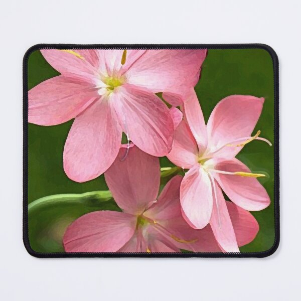 Item preview,  two pink roses green background oil painting designed and sold by AA-designstore.