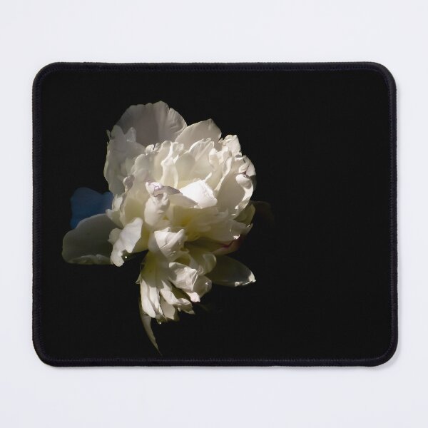 Item preview, A White Peony Lit by Sunshine designed and sold by MajikFlower.